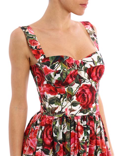 dolce gabbana rose garden